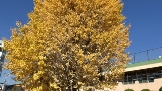 市川市妙典駅　伸栄学習会 児童発達支援 わかばの子　個別療育